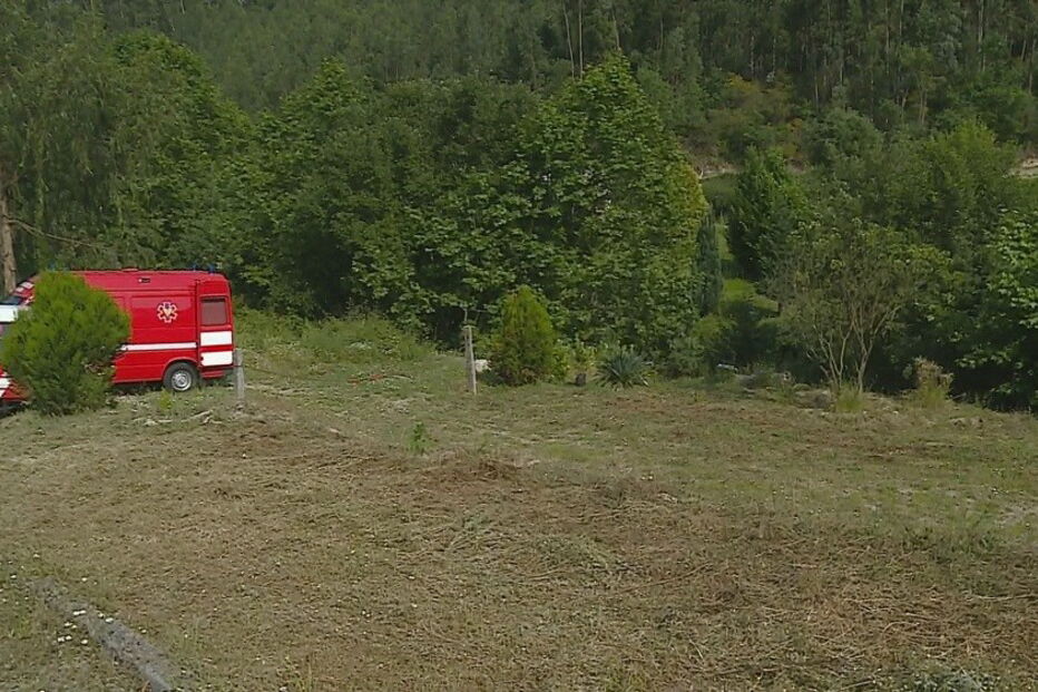 2018-06-24_17_36.31 cadaver.jpg