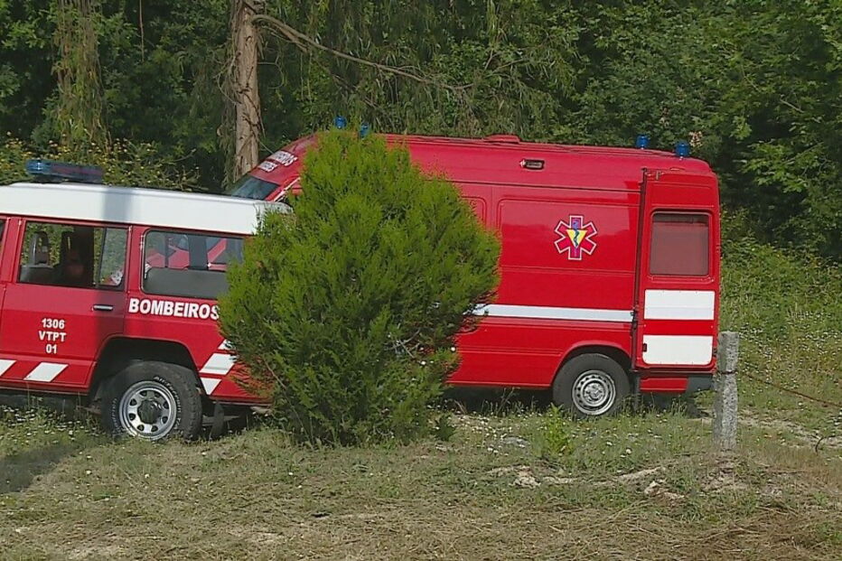 2018-06-24_17_36.32 cadaver2.jpg