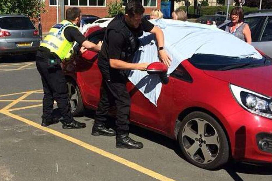 Polícia parte vidro de carro para salvar cães