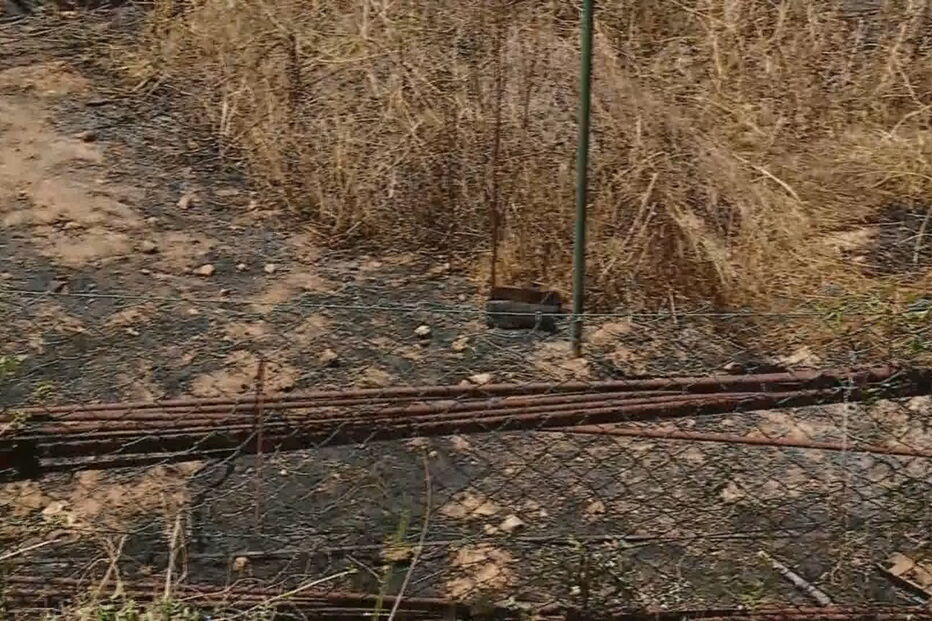 2018-06-27_12_51.14 01472828.jpg