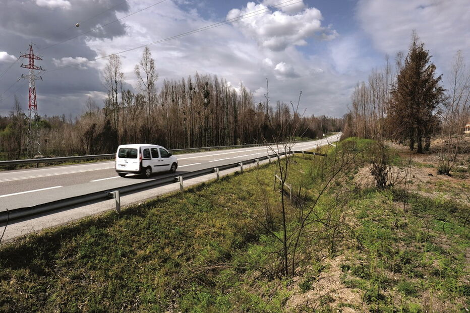 O IP3 é uma via que liga as cidades de Viseu a Coimbra e atravessa várias zonas florestais dos dois distritos
