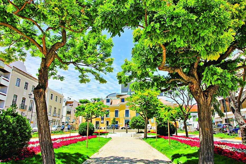 Plantas vermelhas e brancas são as mais furtadas