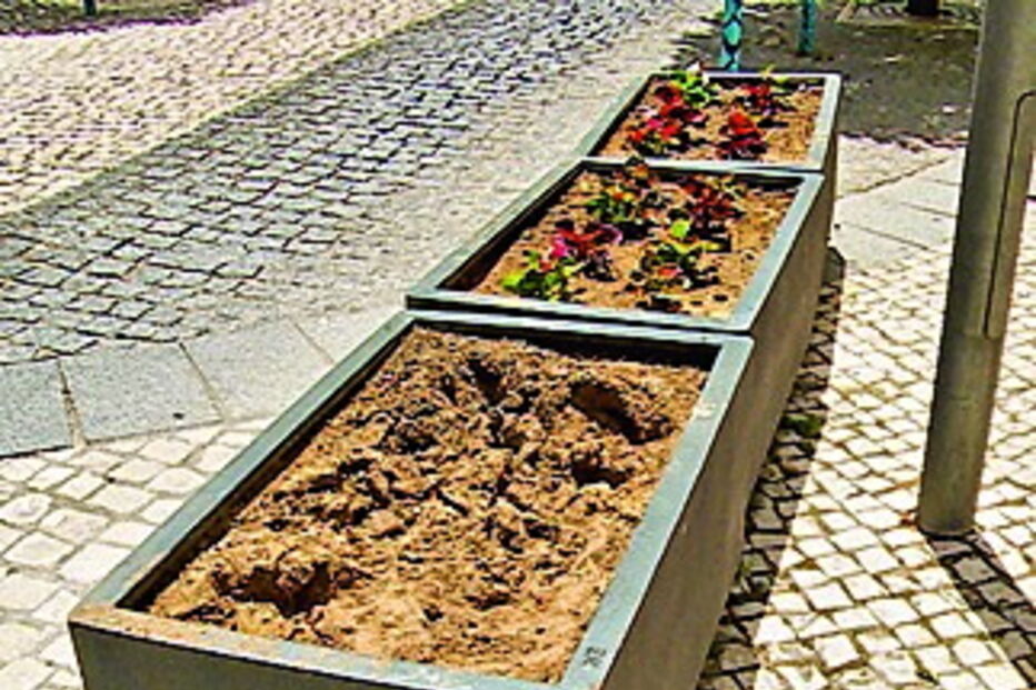 Floreiras também têm sido alvo de furtos