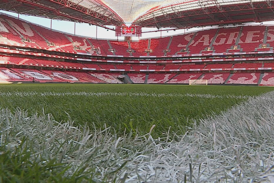 Rui Vitória, Benfica, Champions