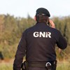 GNR apreendeu 200 quilos de raia curva num armazém em Ílhavo