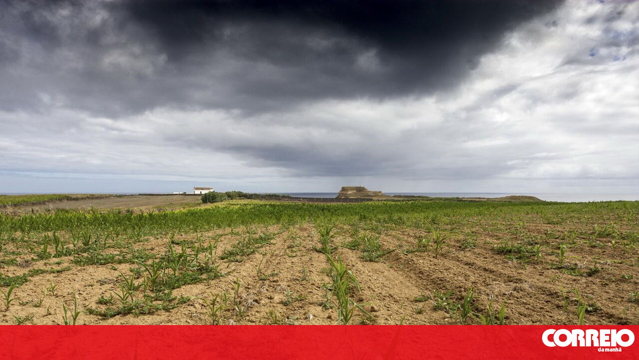 New payment period for support to Azorean agricultural producers began this Friday