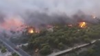 Autoridades corrigem para 88 número de mortos em incêndios na Grécia 
