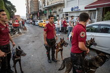 2018-07-02_10_21.28 989021652.jpg