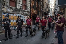 2018-07-02_10_21.31 989021876.jpg