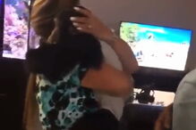 chimpanzé, animal, Jorge, Tania