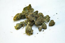 Cannabis , Jesus , Óleo , Cura , Milagres 