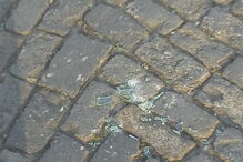 Explosão de gás em Barcelos