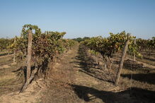 Quinta da Lagoalva de Cima
