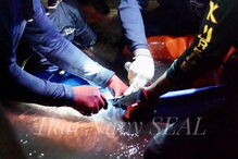 Operações de resgate prosseguem na Tailândia