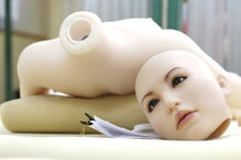 Boneca , Sexual , Reino Unido , 