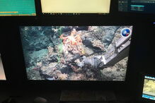 Observatório Oceânico Da Madeira