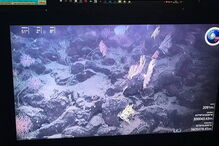 Observatório Oceânico Da Madeira