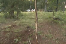 Piloto atropela mortalmente espectador no Rali de Viana