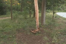 Piloto atropela mortalmente espectador no Rali de Viana