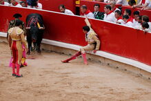 2018-07-08_10_05_05 M2-16463882.JPG