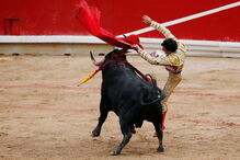 2018-07-08_10_05_05 M2-16463914.JPG