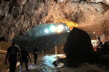 2018-07-10_09_35_41 musk2.jpg