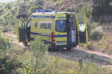 Comboio com 50 crianças choca com camião em Leiria