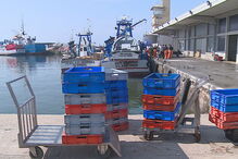 2018-07-14_13_43_45 Sardinhas.jpg