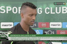 2018-07-19_14_06_52 nani.jpg