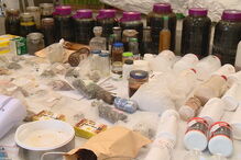 Apreendida droga rara antes do Boom Festival