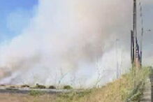 Incêndio junto a A12 na zona de Palmela