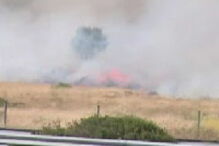 Incêndio junto a A12 na zona de Palmela