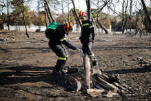 O rescaldo dos incêndios na Grécia um dia depois da tragédia