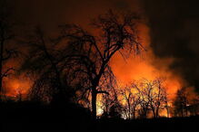 Fogos no norte da Califórnia matam duas pessoas e destroem dezenas de casas