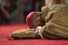 D. Tolentino Mendonça