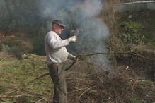 limpeza de terrenos, multas, GNR