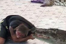 Tratador de 45 anos foi atacado por crocodilo durante o espetáculo