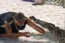 Tratador de 45 anos foi atacado por crocodilo durante o espetáculo