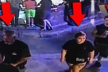 Tubarão bebé foi roubado de um aquário público, no Texas