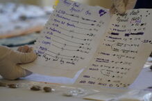 2018-07-31_17_11_22 16598658.JPG