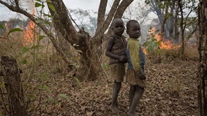África Central e Ocidental têm o maior número de crianças-soldado em todo o mundo