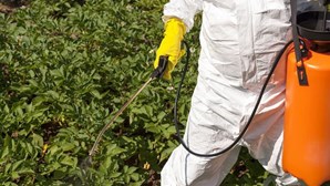 Mais de metade das embalagens de pesticidas por recolher em 2020, alerta Zero