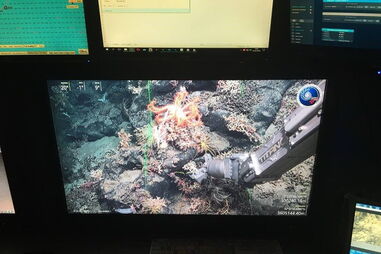 Observatório Oceânico Da Madeira