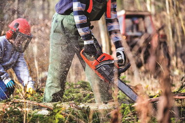 Parte dos milhões entregues para efetuar prevenção florestal foi desviado por empresários do setor   