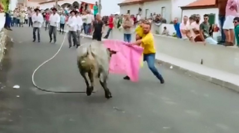 Homem leva criança ao colo para enfrentar touro nos Açores