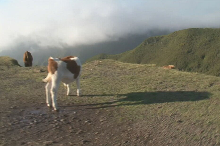 2018-07-01_19_57.45 turistaalemao2.jpg