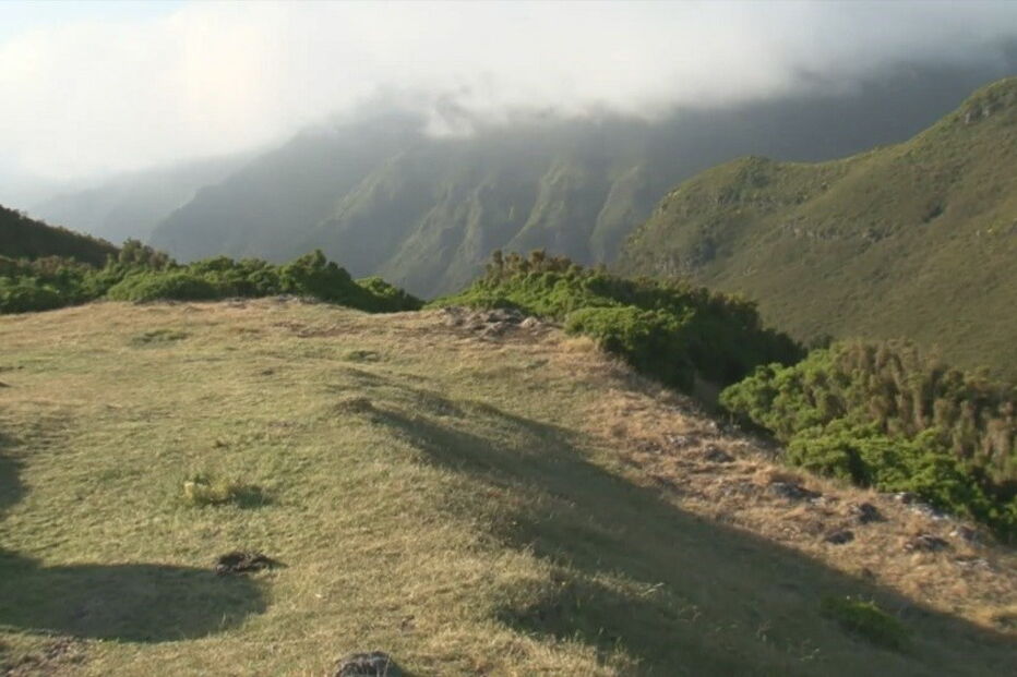 2018-07-01_19_57.45 turistaalemao3.jpg