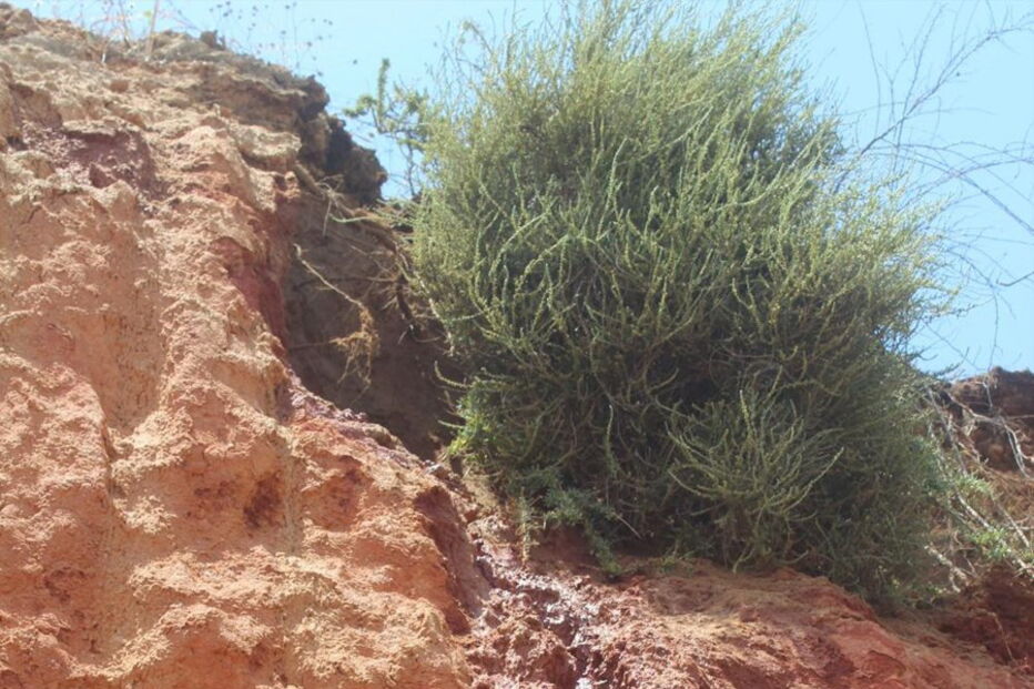 Acesso às escadas barrado