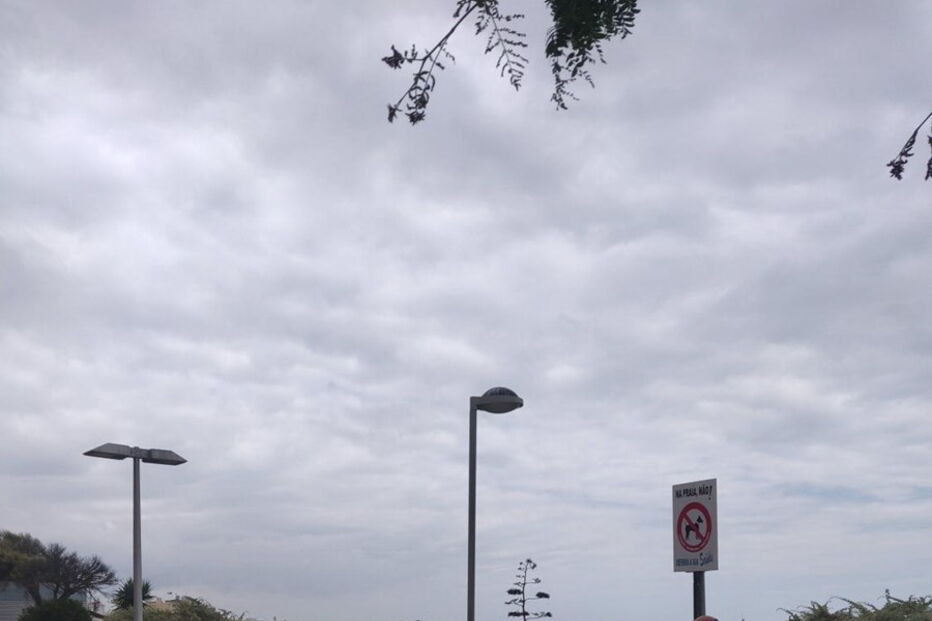 Acesso à praia da Rocha fechado por precaução  