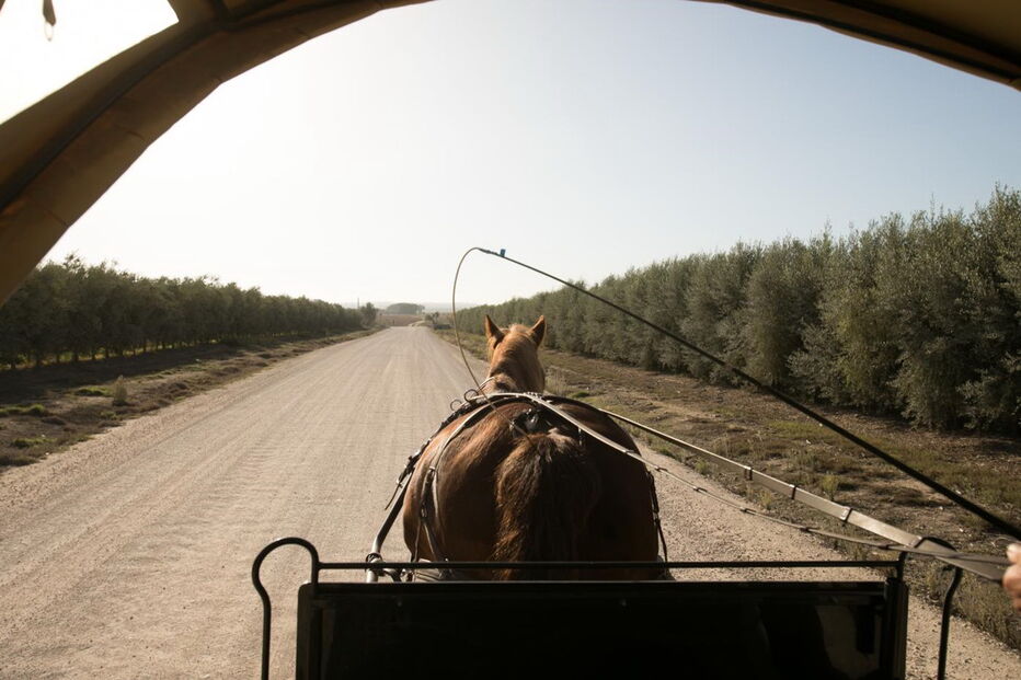 Quinta da Lagoalva de Cima